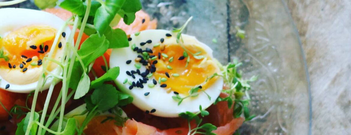 brunch-box