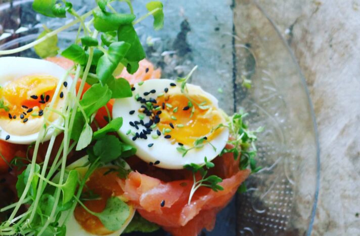 brunch-box